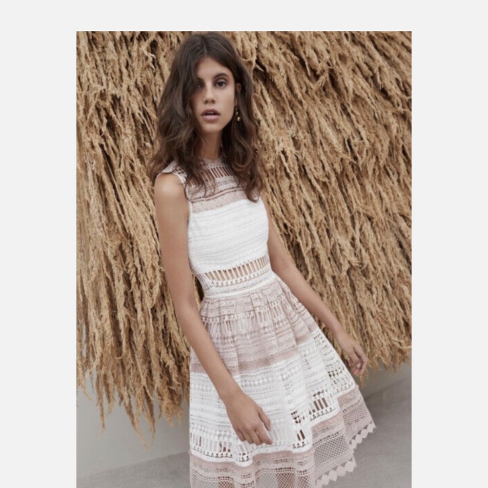 Alexis Cutout Lace Embroidered Sleeveless Melania Dress